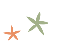 stars before